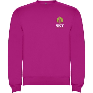 Pull ras du cou Clasica unisexe 53