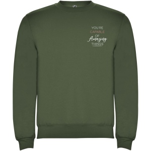 Pull ras du cou Clasica unisexe 59