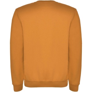 Pull ras du cou Clasica unisexe 68
