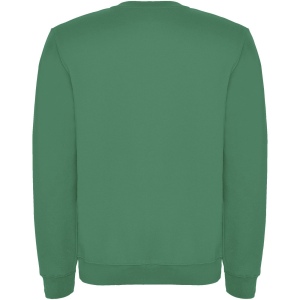 Pull ras du cou Clasica unisexe 71