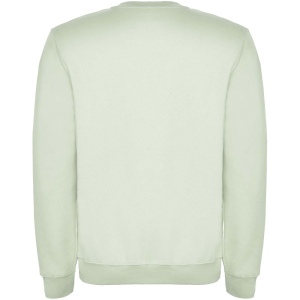 Pull ras du cou Clasica unisexe 75