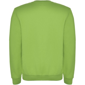 Pull ras du cou Clasica unisexe 77
