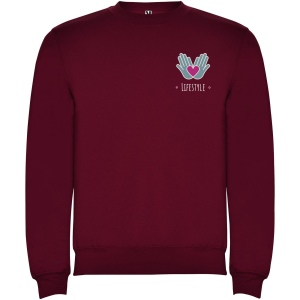 Pull ras du cou Clasica unisexe 39