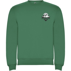 Pull ras du cou Clasica unisexe 40