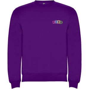 Pull à col ras-du-cou Clasica pour enfant 28