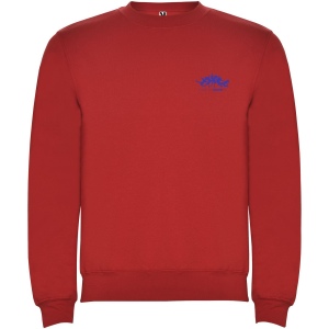 Pull à col ras-du-cou Clasica pour enfant 29