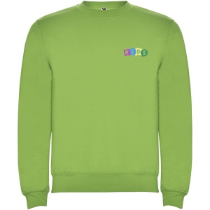 Pull à col ras-du-cou Clasica pour enfant 25