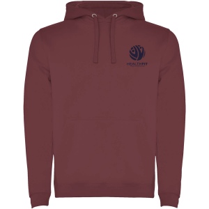 Sweat à capuche Urban pour homme 39