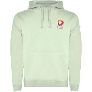 Sweat à capuche Urban pour homme 53