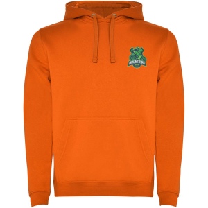 Sweat à capuche Urban pour homme 56