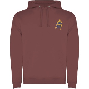Sweat à capuche Urban pour homme 57