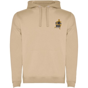 Sweat à capuche Urban pour homme 65