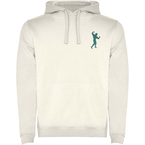 Sweat à capuche Urban pour homme 70
