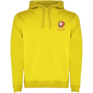 Sweat à capuche Urban pour homme 73