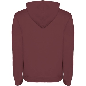 Sweat à capuche Urban pour homme 75