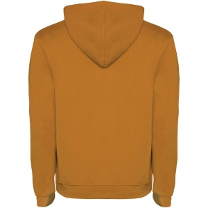 Sweat à capuche Urban pour homme 80