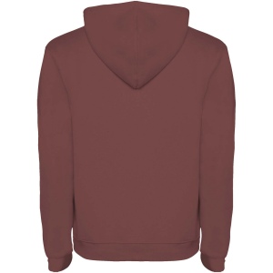 Sweat à capuche Urban pour homme 93