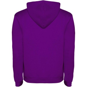 Sweat à capuche Urban pour homme 95