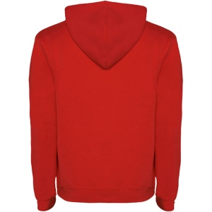 Sweat à capuche Urban pour homme 97
