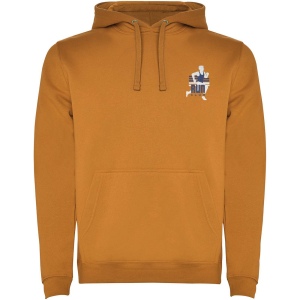 Sweat à capuche Urban pour homme 44
