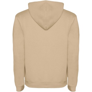 Sweat à capuche Urban pour homme 101