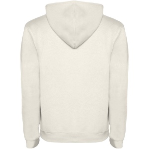 Sweat à capuche Urban pour homme 106