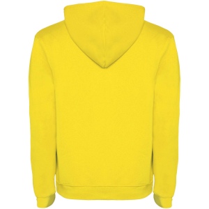 Sweat à capuche Urban pour homme 109