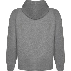 Sweat à capuche Vinson en coton organique unisexe 18