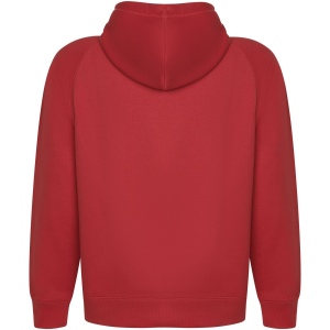 Sweat à capuche Vinson en coton organique unisexe 20