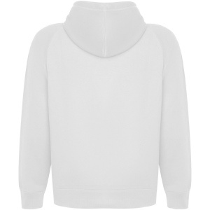 Sweat à capuche Vinson en coton organique unisexe 22