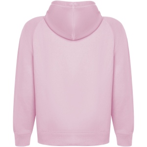 Sweat à capuche Vinson en coton organique unisexe 17
