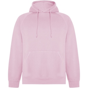 Sweat à capuche Vinson en coton organique unisexe 3