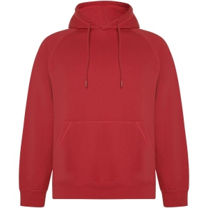 Sweat à capuche Vinson en coton organique unisexe 6
