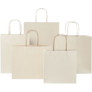 Sac en papier fabriqué à partir de déchets agricoles 150 g/m2 avec poignées torsadées, 31 x 12 x 41 cm 8