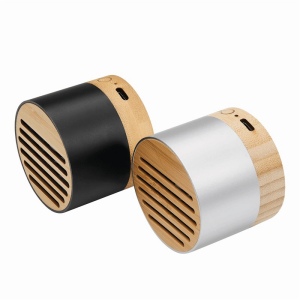 Haut-parleur sans fil PURE SOUND 8