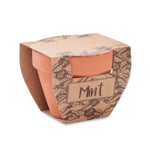 Pot avec graines de menthe - MINT POT 4