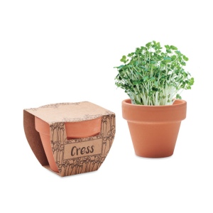 Pot avec graines de cresson - CRESS POT 2