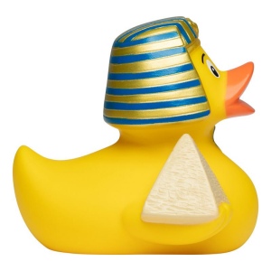Canard voyage MBW 5
