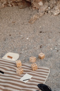 VINGA Jeu de yacht/dés 7