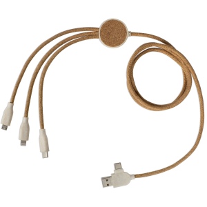 Câble de charge multi-embouts 2