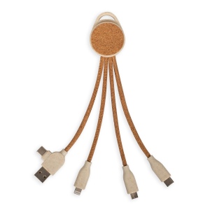 Câble de charge multi-embouts 2