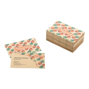 Visicard Eco cartes de visite