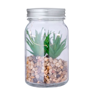 Plante Décorative - Kyala 2