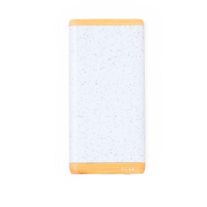 Power Bank - Coquin 2