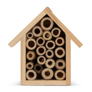 Mini-maison des abeilles 3