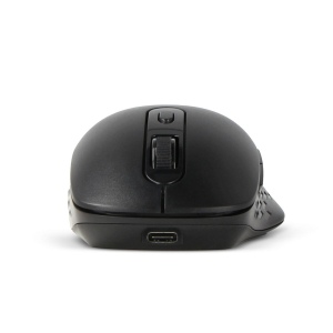 2.4G Wireless Mouse R-ABS 7