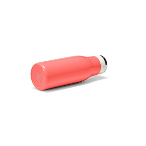 Gourde Arkansas 350 rInox 400ml.Double paroi, étanche,poignée 45