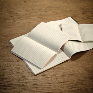 Carnet Bronte A6 couverture souple carton recyclé 57