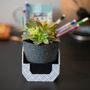 Enceinte Boomz rABS,800mAh Jusqu’à 5h d’autonomie 5W système TWC 22