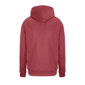 Sweat-shirt unisexe à capuche - CONSTELLATION 112